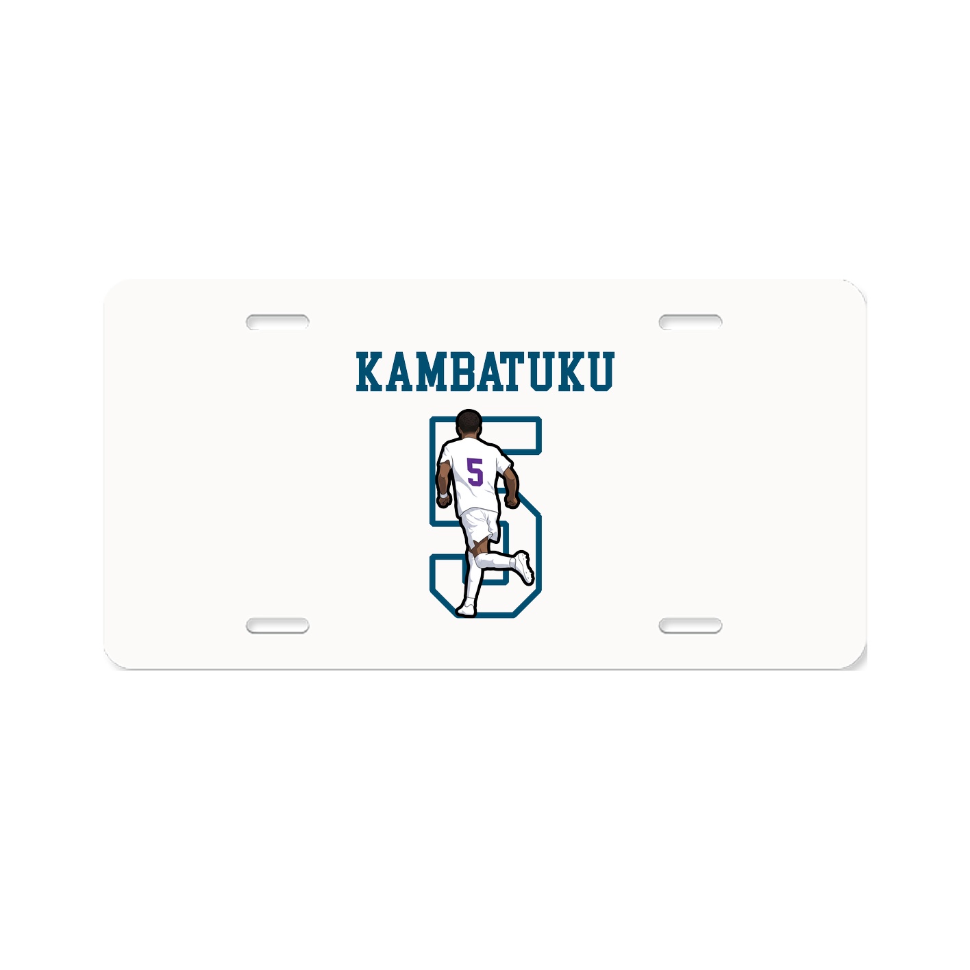 Aluminum License Plate
