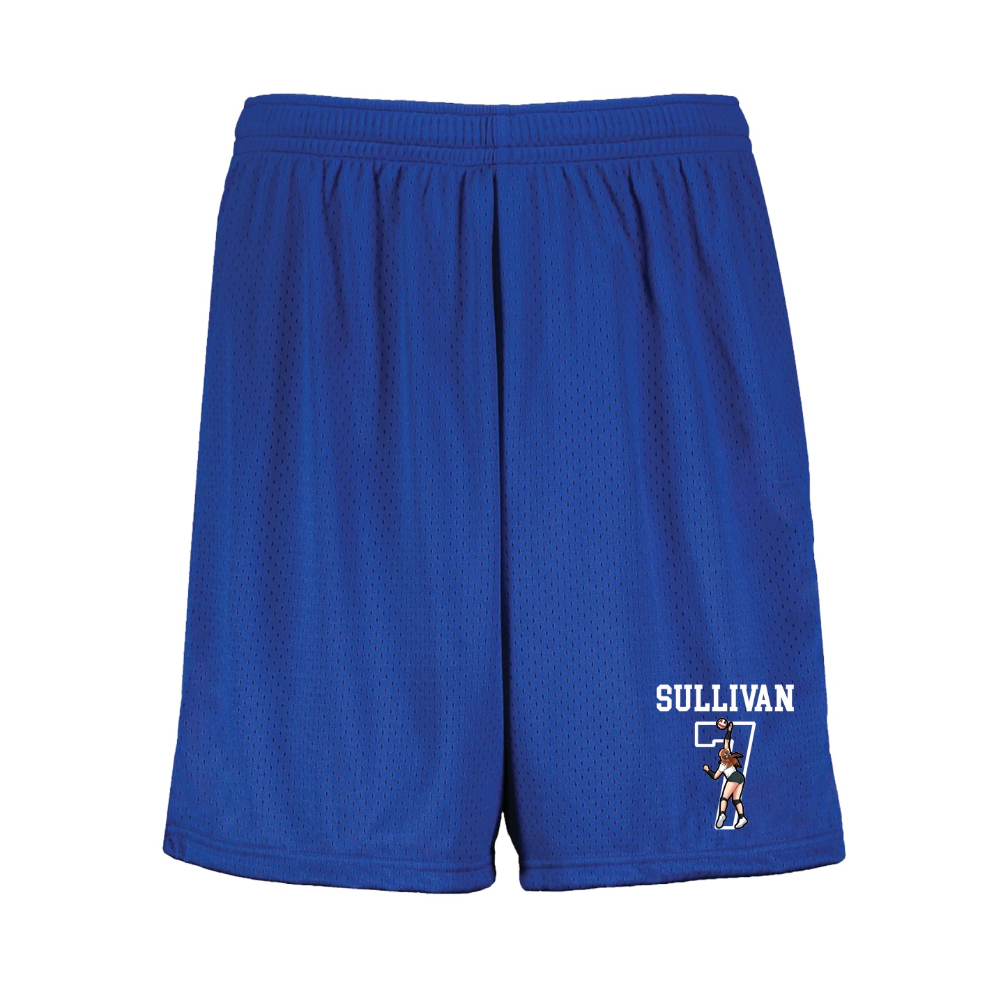 Shorts — Shirsey in Royal