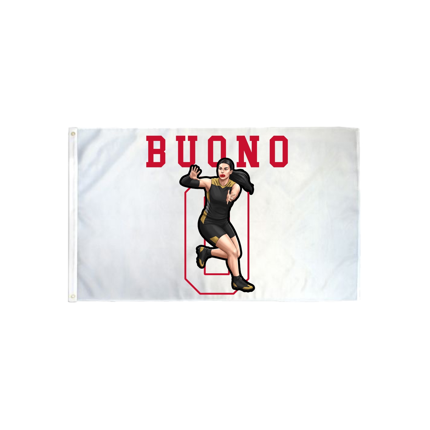 3x5 Flag — Shirsey in Classic