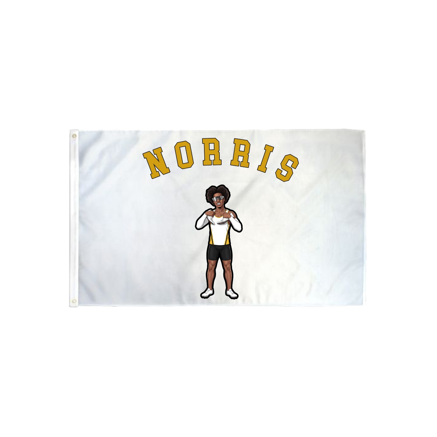 3x5 Flag — Shirsey Arch in Classic