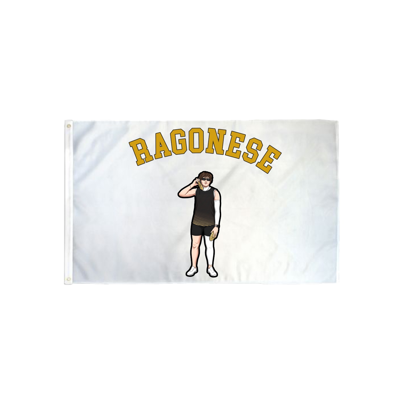 3x5 Flag — Shirsey Arch in Classic
