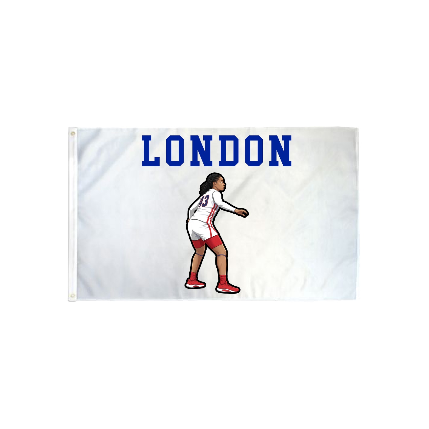 3x5 Flag — Shirsey in Classic