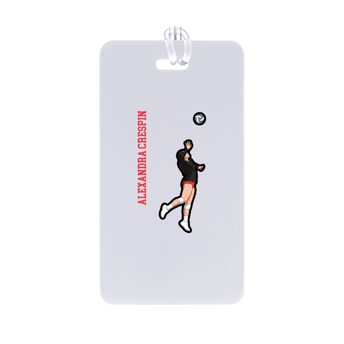 Identity Bag Tag