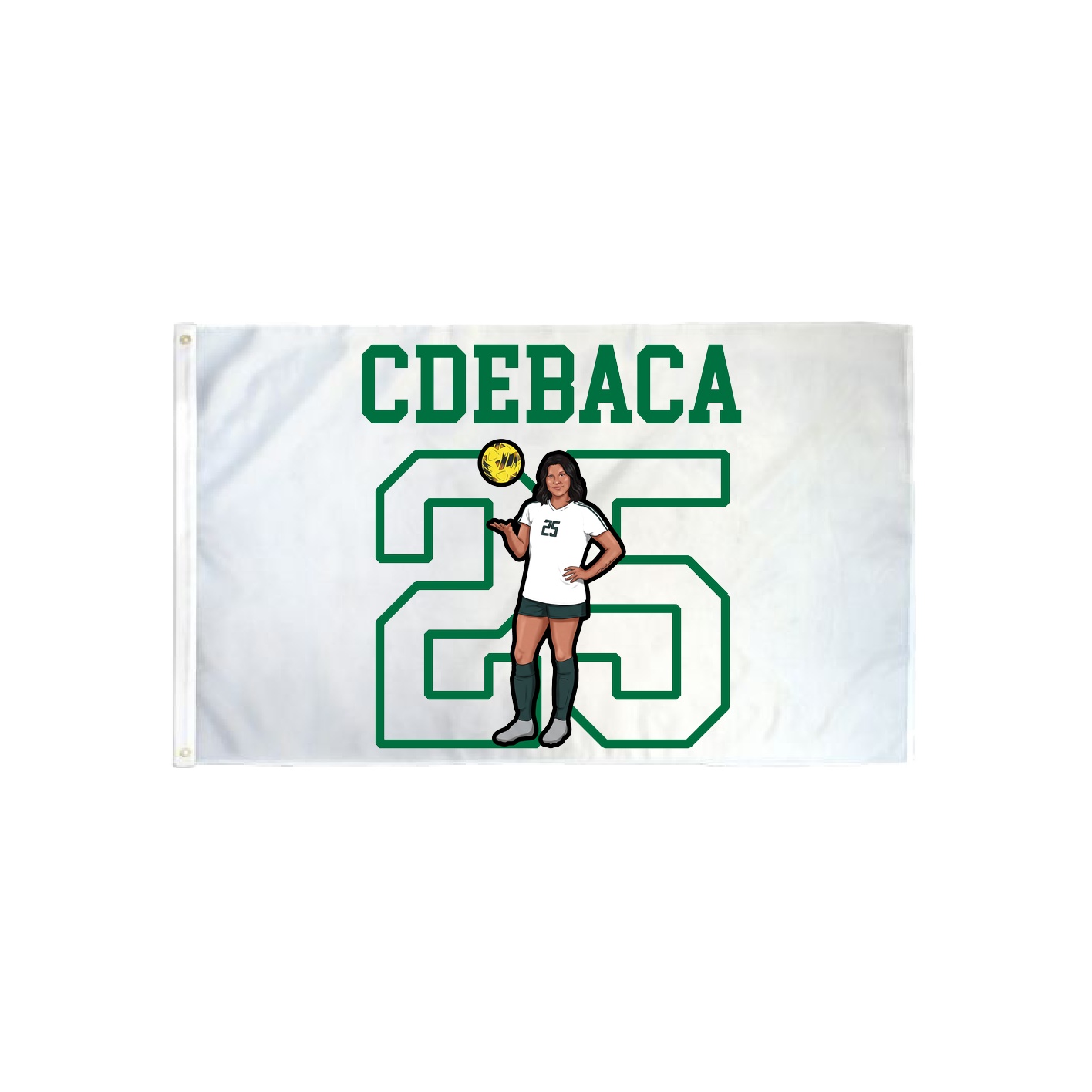 3x5 Flag — Shirsey in Classic