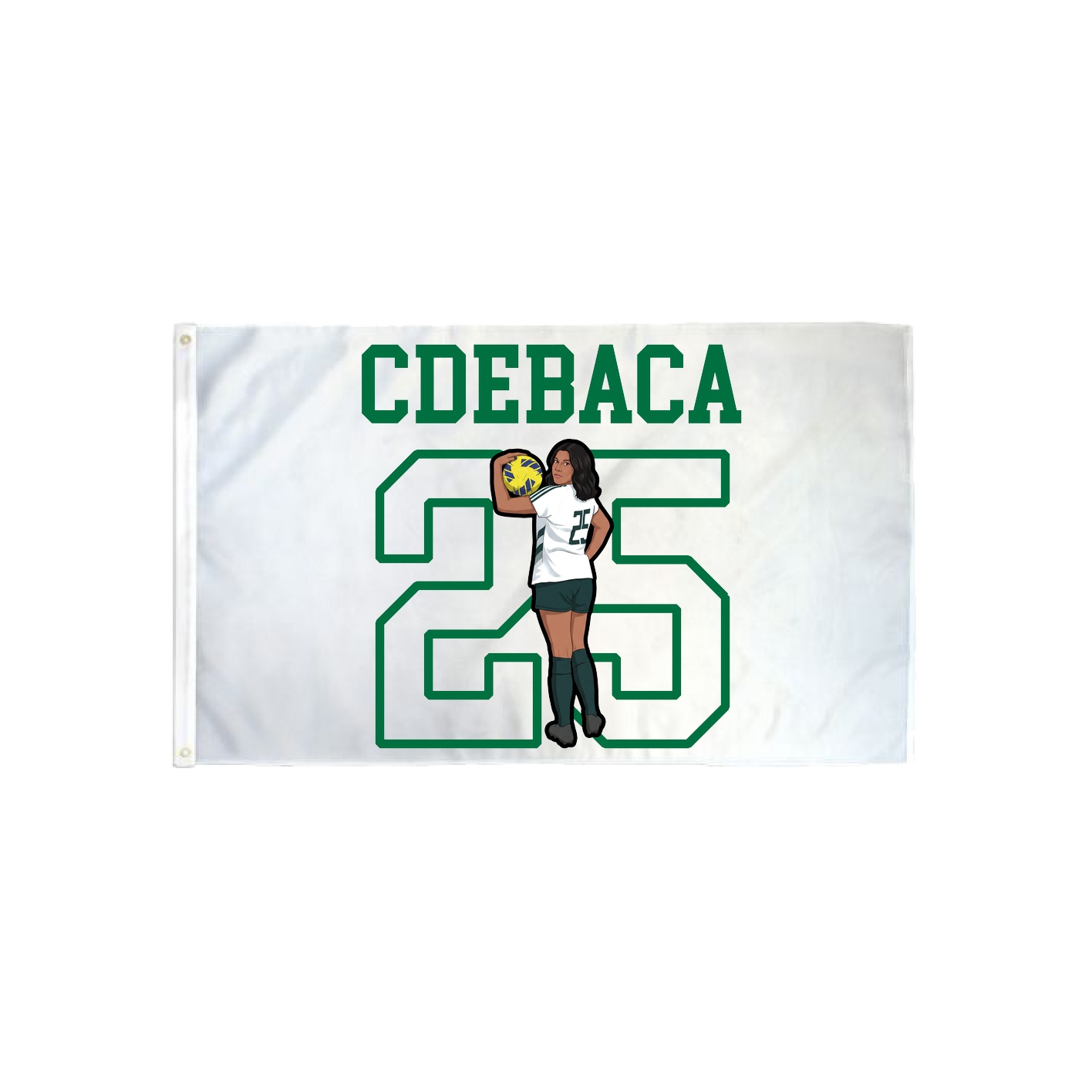 3x5 Flag — Shirsey in Classic