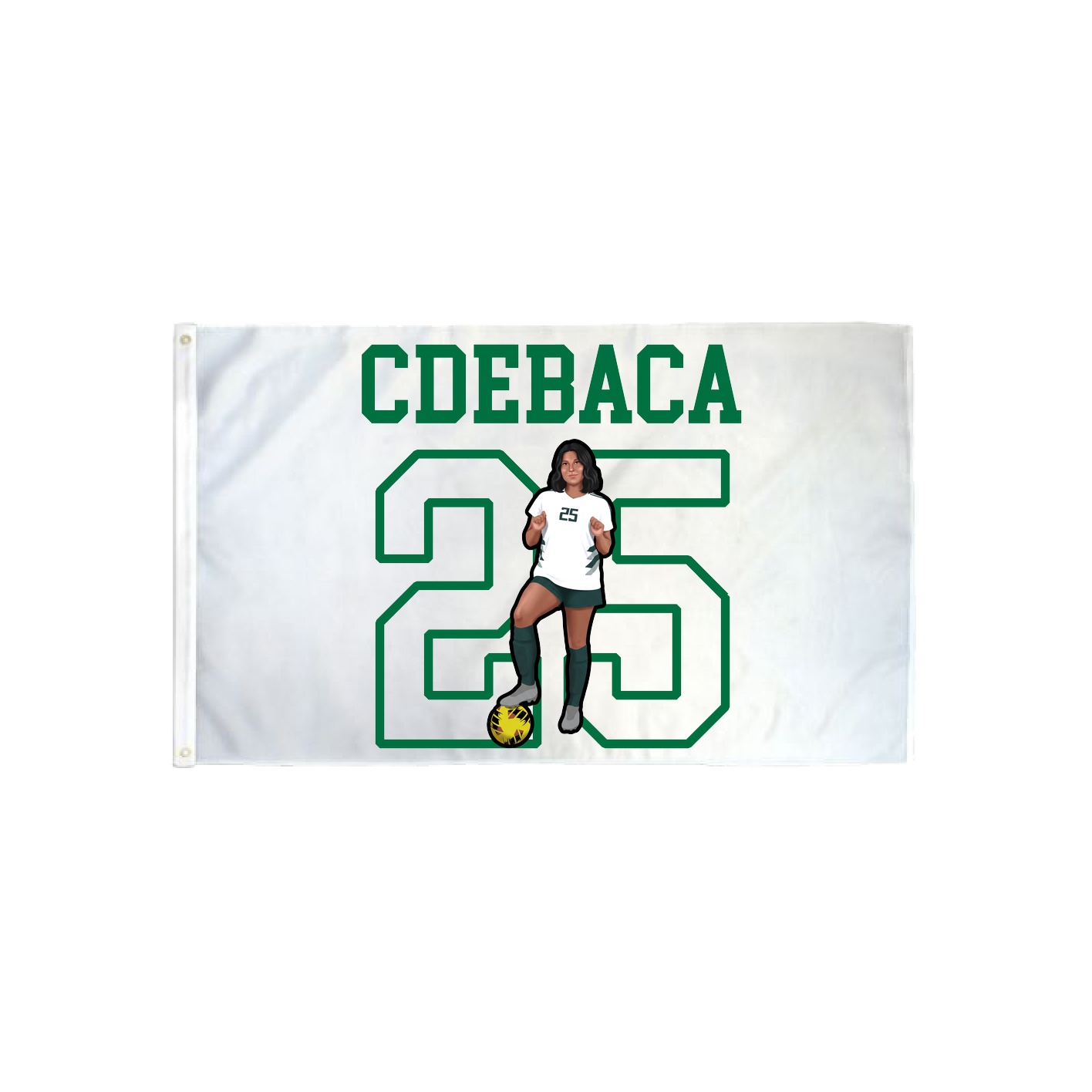 3x5 Flag — Shirsey in Classic