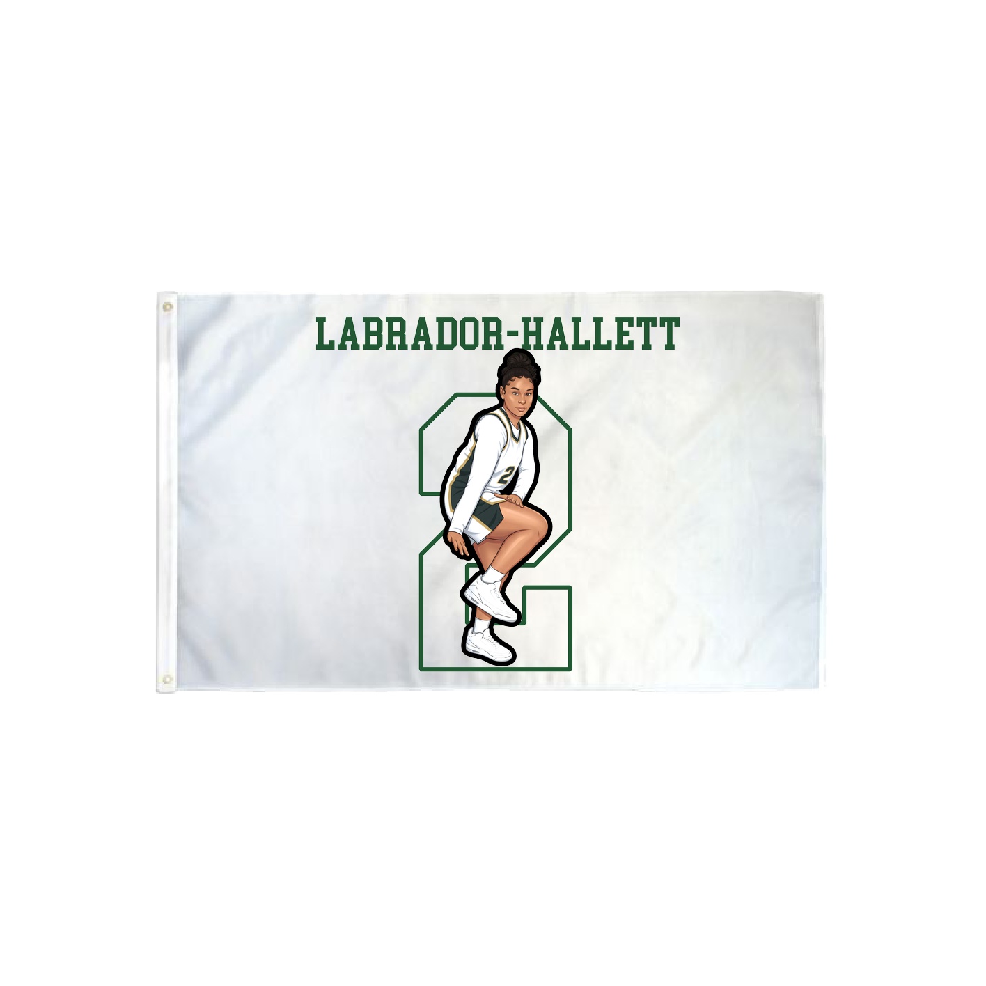 3x5 Flag — Shirsey in Classic