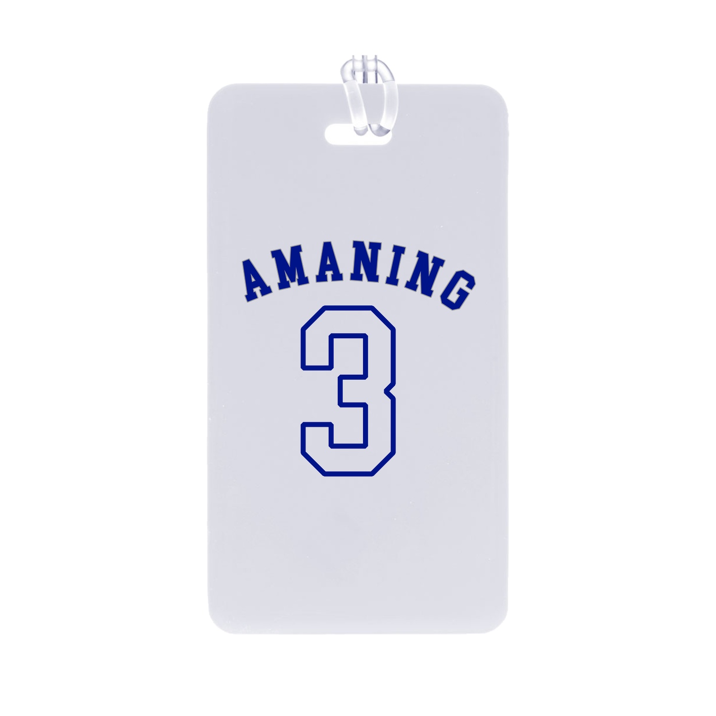 Bag Tag — Shirsey Arch in Classic