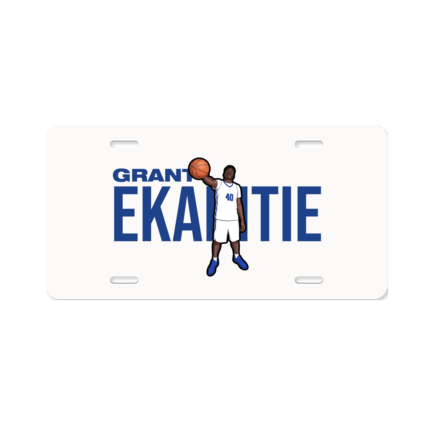 License Plate